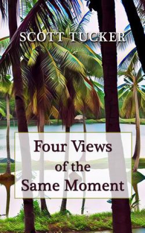 Kniha Four Views of the Same Moment: Poems and Dash Fiction Scott Tucker