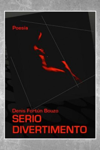 Livro Serio divertimento Armando Anel
