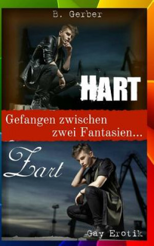 Kniha Zart & Hart - Gefangen zwischen zwei Fantasien (Gay Erotik) B  Gerber
