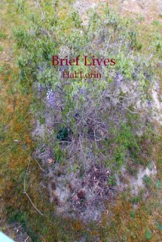 Buch Brief Lives Hal Lorin