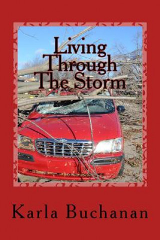 Kniha Living Through The Storm Melody Gammans