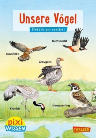 Könyv Pixi Wissen 108: Unsere Vögel Bärbel Oftring