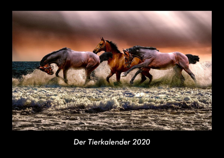 Kalendář/Diář Der Tierkalender 2020 Fotokalender DIN A3 