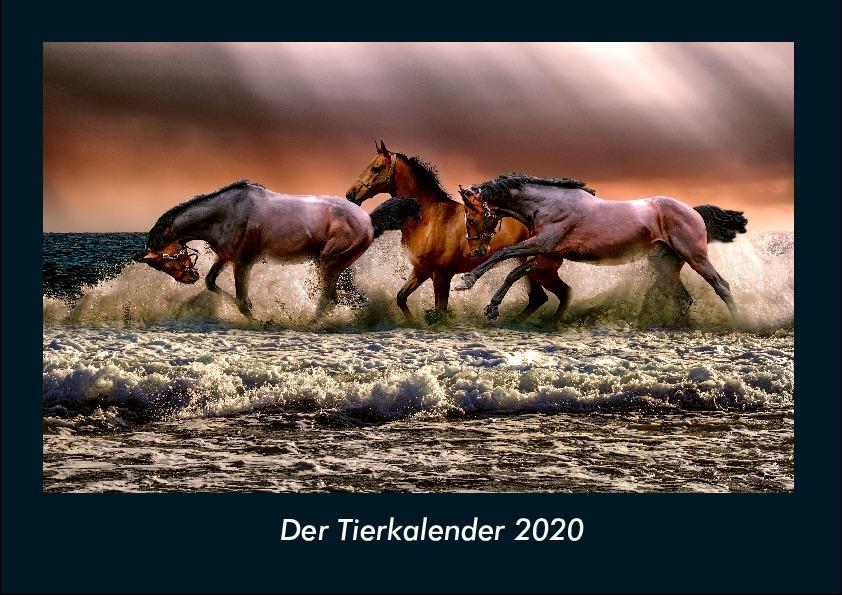 Kalendář/Diář Der Tierkalender 2020 Fotokalender DIN A4 