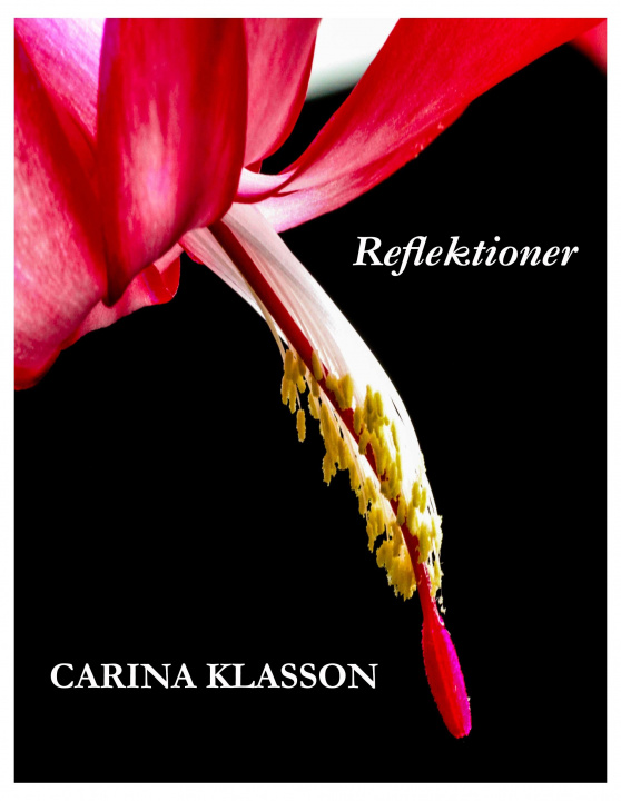 Knjiga Reflektioner 