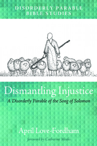 Knjiga Dismantling Injustice April Love-Fordham