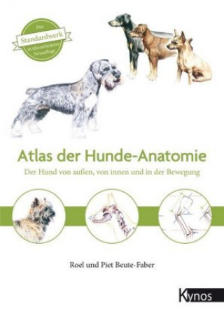 Kniha Atlas der Hundeanatomie Piet Beute-Faber