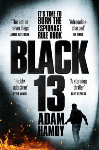 Kniha Pearce: Black 13 