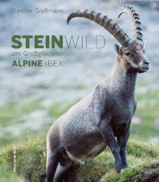 Book STEINWILD AM GROSSGLOCKNER ALPINE IBEX 