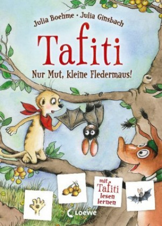 Könyv Tafiti - Nur Mut, kleine Fledermaus! Julia Ginsbach
