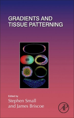 Knjiga Gradients and Tissue Patterning Stephen Small