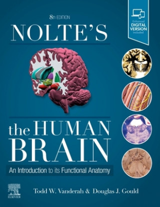 Kniha Nolte's The Human Brain Douglas J. Gould