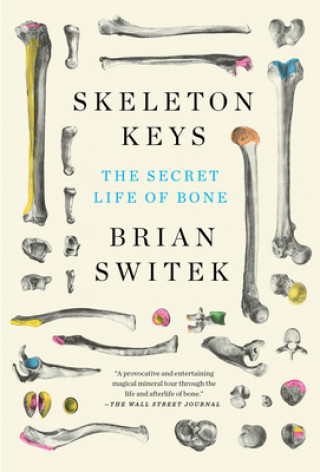 Kniha Skeleton Keys 