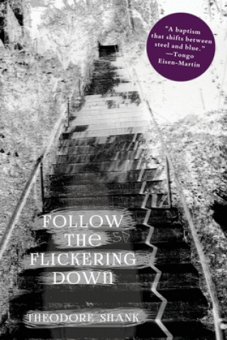 Knjiga Follow The Flickering Down Theodore Shank