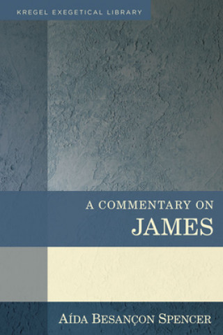 Knjiga Commentary on James Aida Besancon Spencer