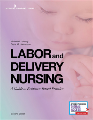 Knjiga Labor and Delivery Nursing Gayle Huelsmann