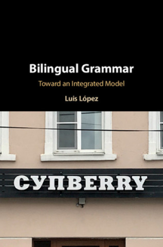 Kniha Bilingual Grammar 