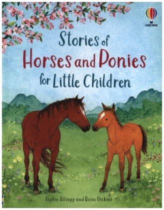 Könyv Stories of Horses and Ponies for Little Children ROSIE DICKENS