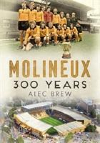 Kniha Molineux Alec Brew
