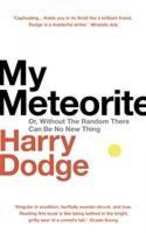 Βιβλίο My Meteorite Harry Dodge