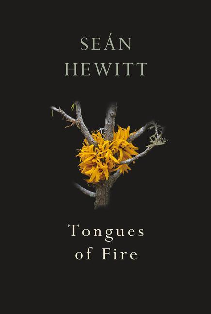 Kniha Tongues of Fire Seán Hewitt