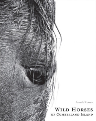 Kniha Wild Horses of Cumberland Island Krantz