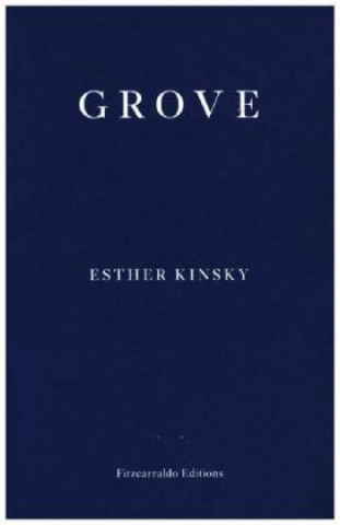 Könyv Grove Esther Kinsky