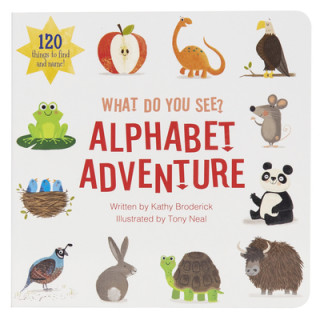 Kniha What Do You See? Alphabet Adventure Editors of Phoenix International Publica