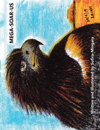 Knjiga Mega-Soar-Us Sufira-Mingara