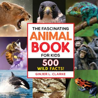 Kniha The Fascinating Animal Book for Kids: 500 Wild Facts! 