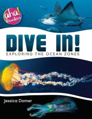 Kniha Dive In!: Exploring the Ocean Zones Tara Raymo