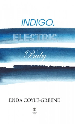 Könyv Indigo, Electric, Baby 