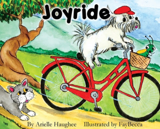 Book Joyride Fay Becca