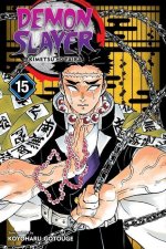Könyv Demon Slayer: Kimetsu no Yaiba, Vol. 15 Koyoharu Gotouge