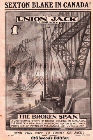 Kniha Broken Span G. H. Teed