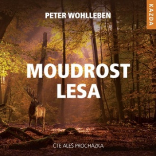 Audio Moudrost lesa Peter Wohlleben