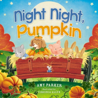 Könyv Night Night, Pumpkin Virginia Allyn