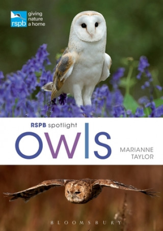 Kniha RSPB Spotlight Owls Marianne Taylor