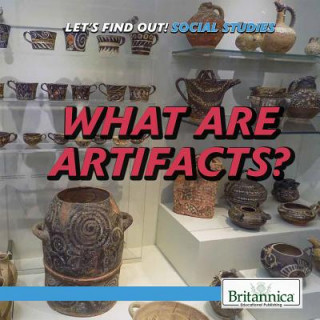 Knjiga What Are Artifacts? Avery Elizabeth Hurt