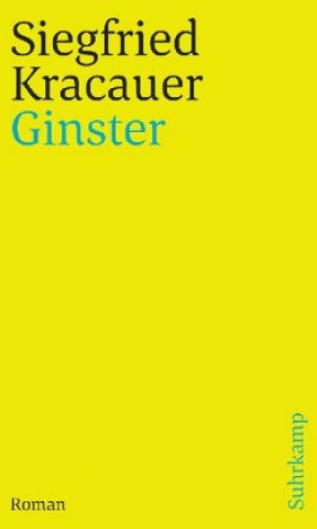 Kniha Ginster 