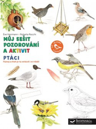 Book Ptáci Můj sešit pozorování a aktivit Roberta Rocchi
