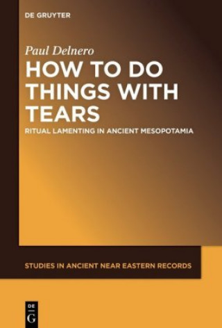 Kniha How To Do Things With Tears Paul Delnero