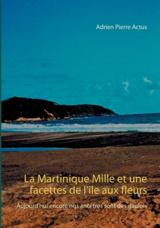 Carte Martinique Mille et une facettes de l'ile aux fleurs 