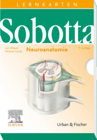 Hra/Hračka Sobotta Lernkarten Neuroanatomie Michael Scholz