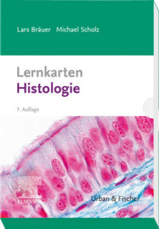 Joc / Jucărie Lernkarten Histologie Michael Scholz
