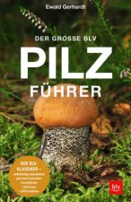 Könyv Der große BLV Pilzführer 