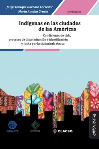 Könyv Indígenas en las ciudades de las Américas: Condiciones de vida, procesos de discriminación e identificación y lucha por la ciudadanía étnica Ana Maria Barbosa Oyanarte