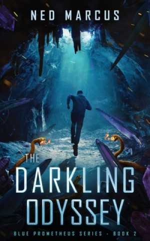 Buch Darkling Odyssey Ned Marcus