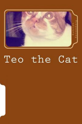 Knjiga Teo the Cat Rudolph Katzenberg