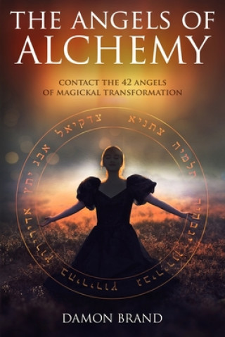 Kniha Angels of Alchemy Damon Brand